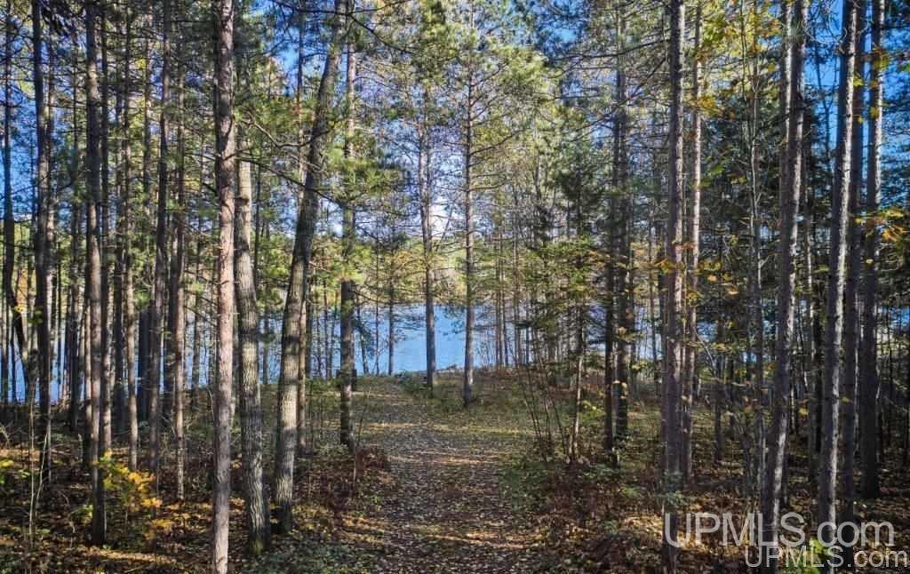 N3318 Twin Lakes Road Wetmore, MI 49895 - Photo 5 of 19