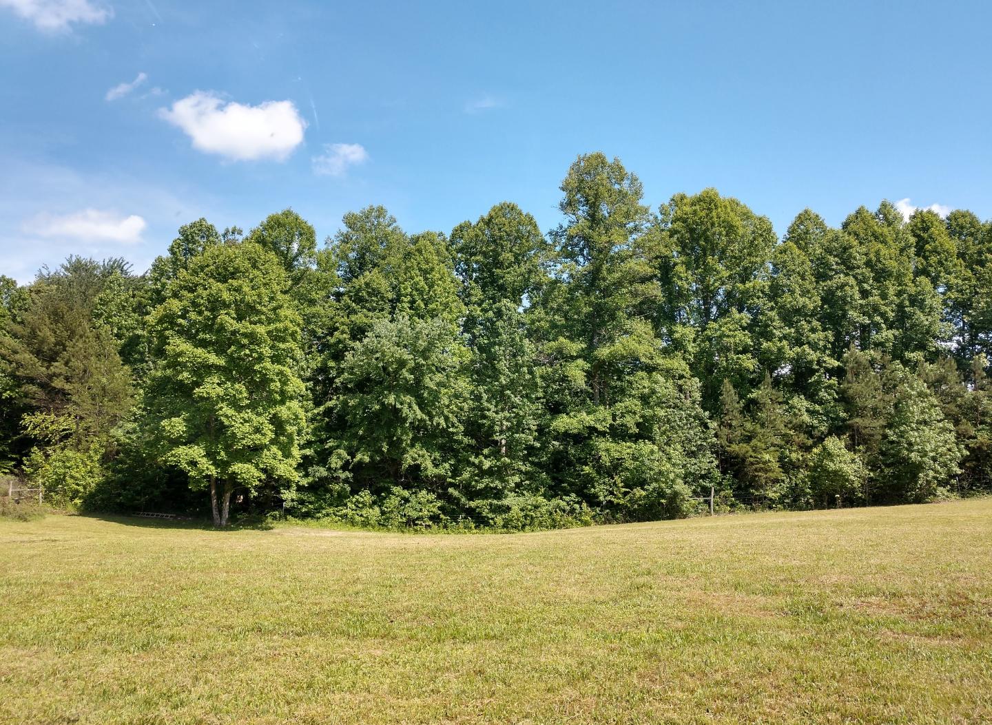 251 Montgomery Road Lancing, TN 37770 - Photo 8 of 29 Screenshot_20190127-205504