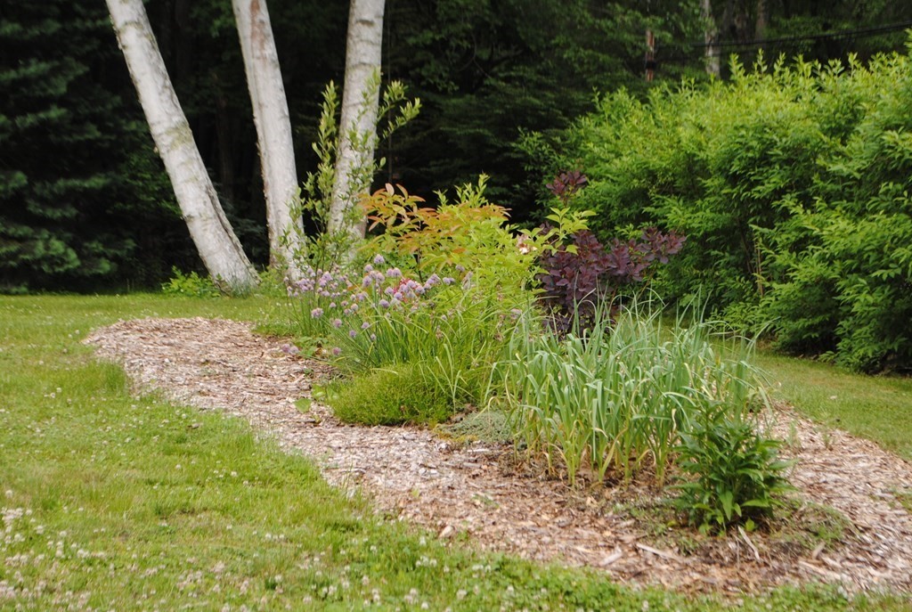 45 Bay Path Road Charlton, MA 01507 - Photo 33 of 35 a view of a garden with plants