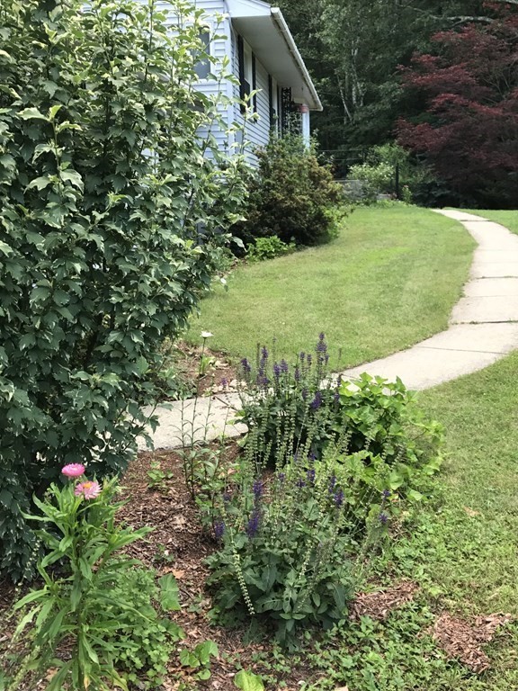 45 Bay Path Road Charlton, MA 01507 - Photo 34 of 35 a view of a garden with plants