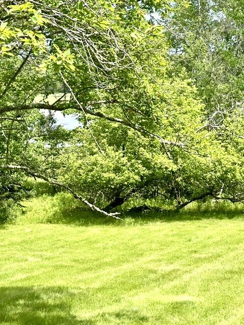16 Rice Road Harrington, ME 04643 - Photo 15 of 19 IMG_6018