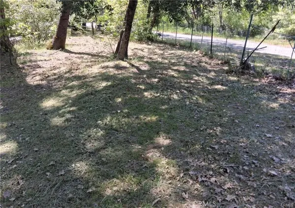 a view of a yard with tree s