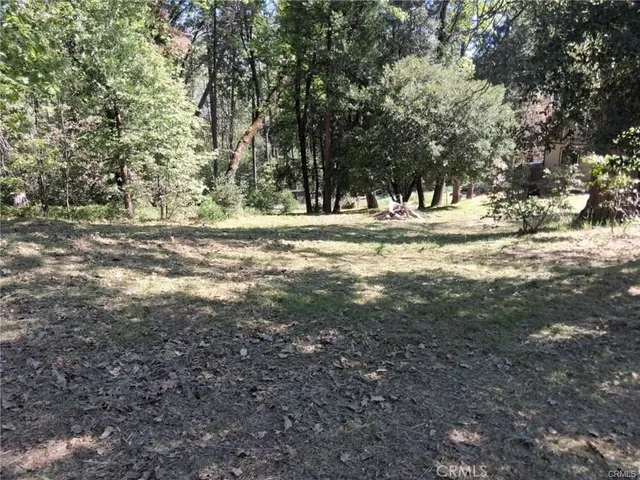 a view of a yard with a trees