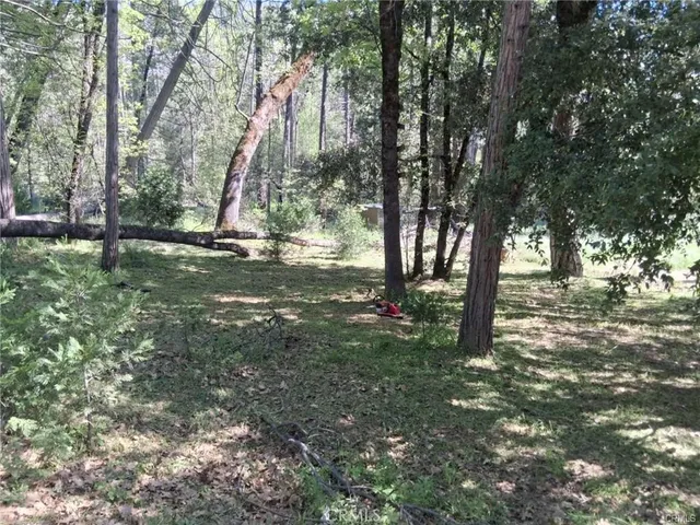 a view of a yard with a tree