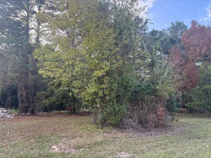 a view of a forest with trees in the background