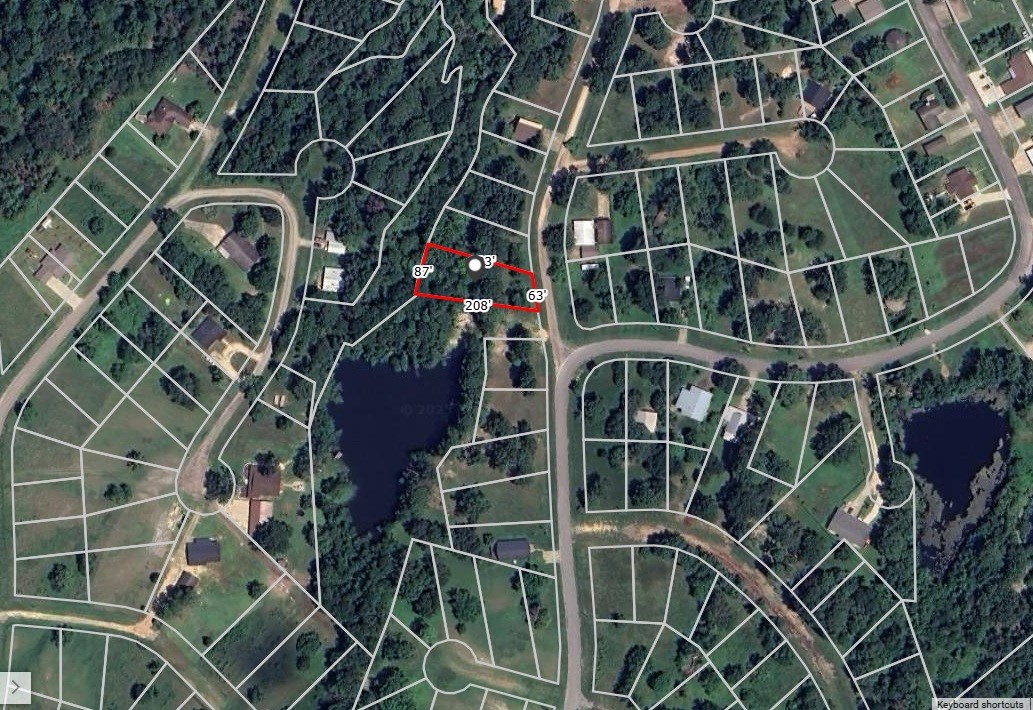 0 Silver Hickory Drive Coldspring, TX 77331 - Photo 8 of 9