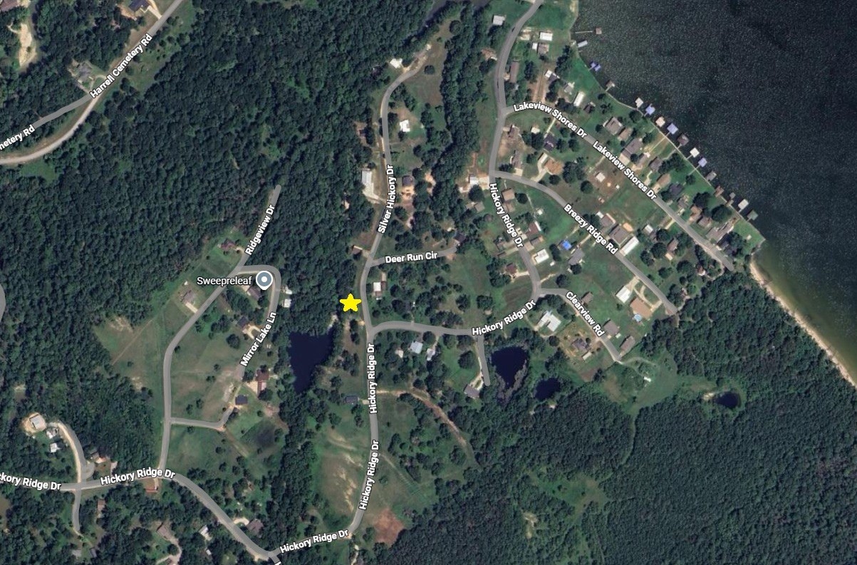 0 Silver Hickory Drive Coldspring, TX 77331 - Photo 9 of 9 a picture of tree