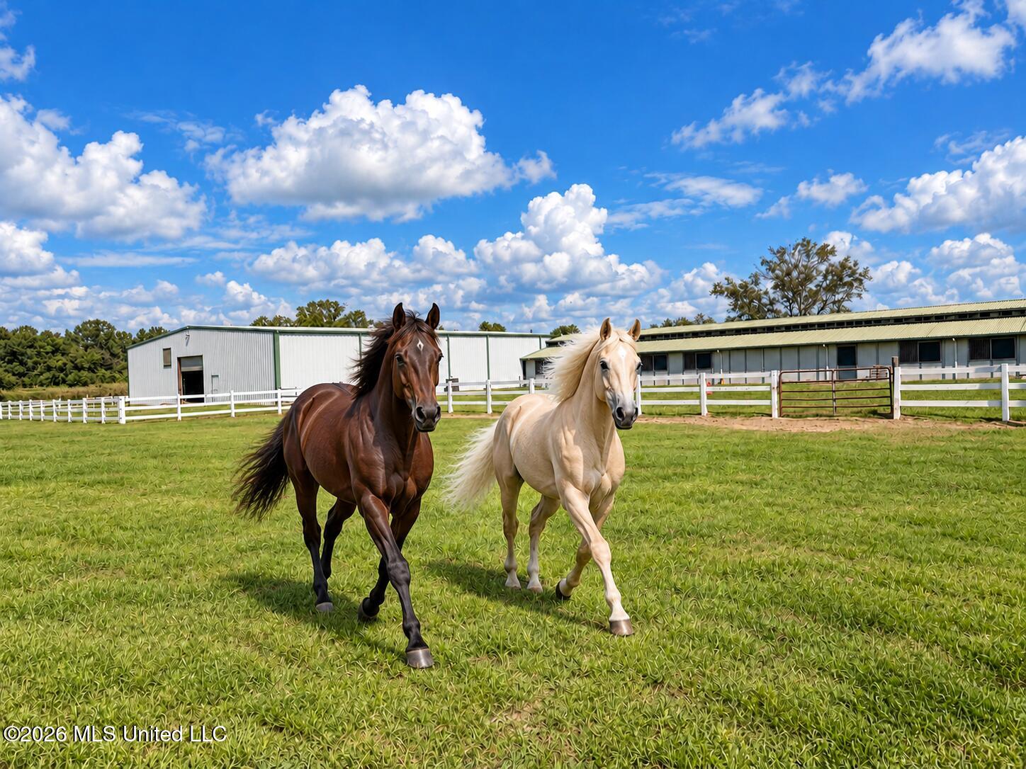 11450 County Farm Road Gulfport, MS 39503 - Photo 70 of 84 Twin Horses Trotting Toward the Camera