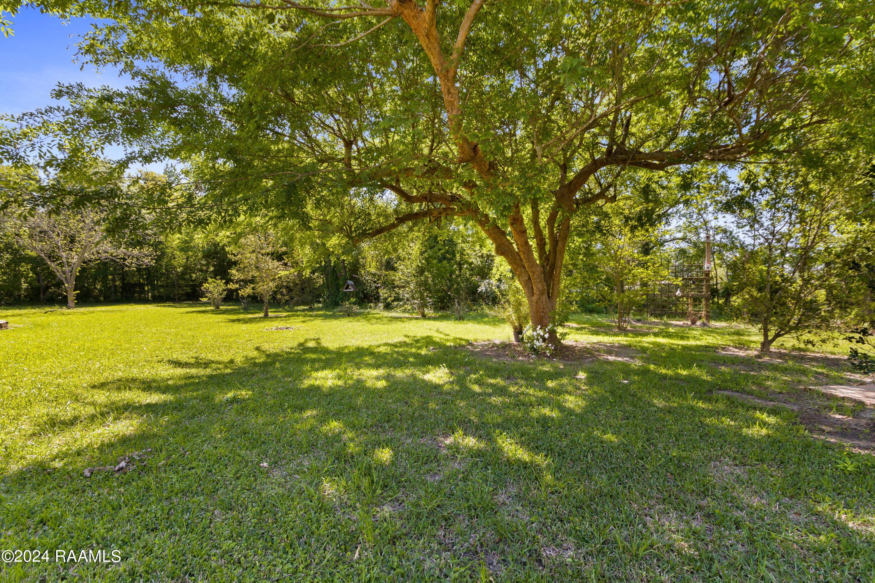 1103 Lopez Road New Iberia, LA 70560 - Photo 35 of 40 1103Lopez-3-70
