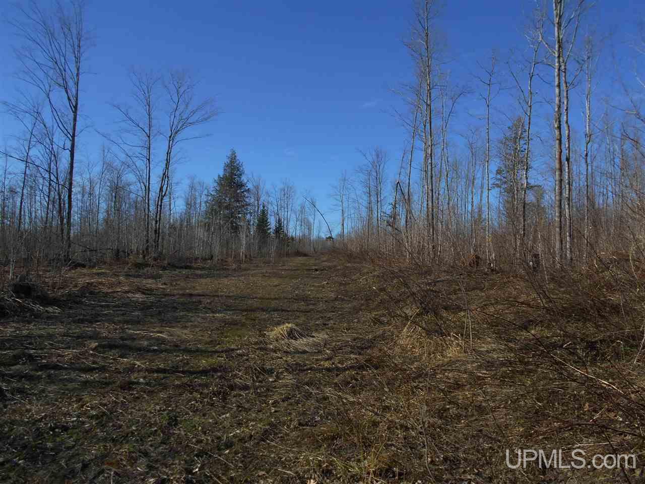 Tbd Off Heikkila Road Ironwood, MI 49938 - Photo 5 of 13
