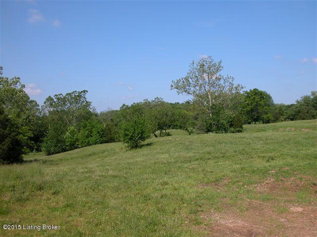 8400 Todds Point Road Crestwood, KY 40014 - Photo 10 of 13 Sky Lands farm 100 (43)