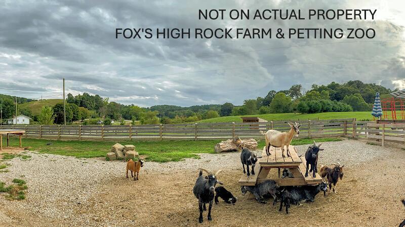 6321 R K Miller Road Logan, OH 43138 - Photo 77 of 90 Fox's High Rock Farm and Petting Zoo