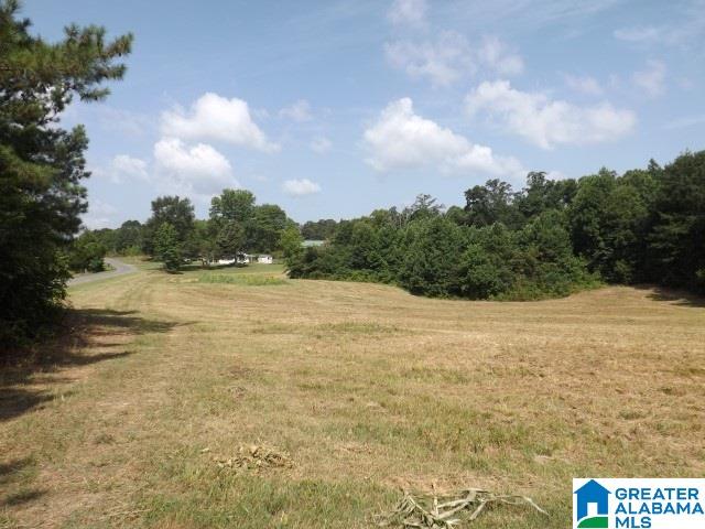 915 Burgett Road Altoona, AL 35952 - Photo 16 of 36
