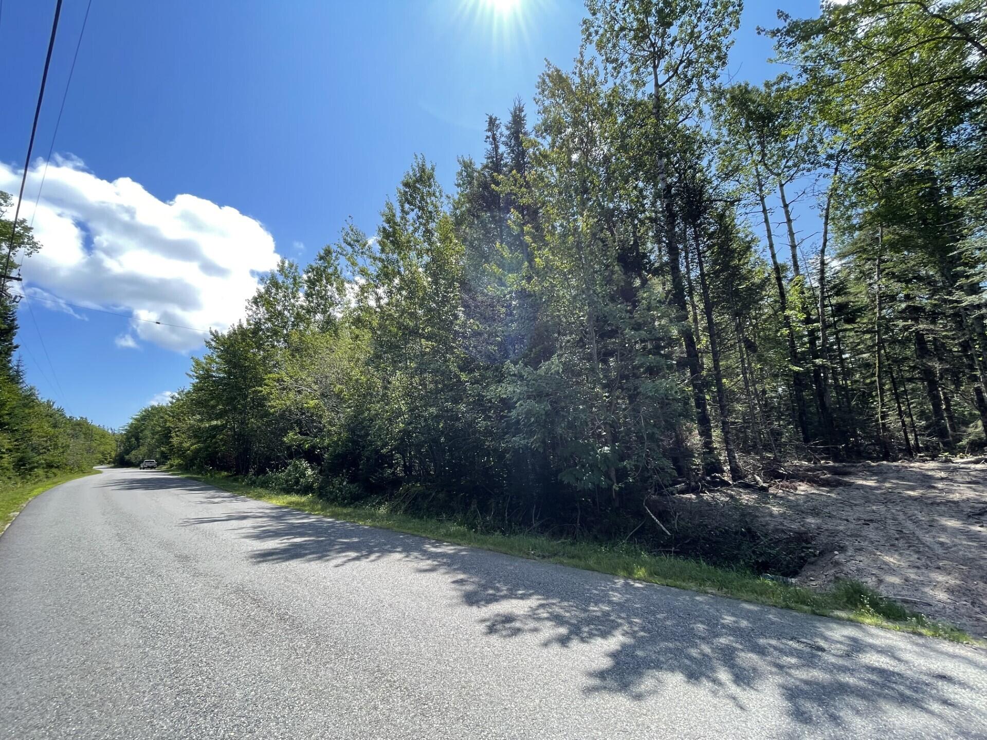 Lot #183 Rays Point Road Milbridge, ME 04658 - Photo 3 of 3 thumbnail_IMG-2503