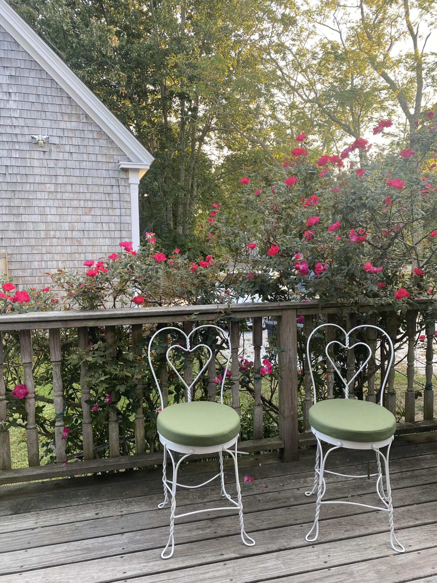 17 Shore Road, Unit 9 Truro, MA 02666 - Photo 18 of 20 17 Shore 6