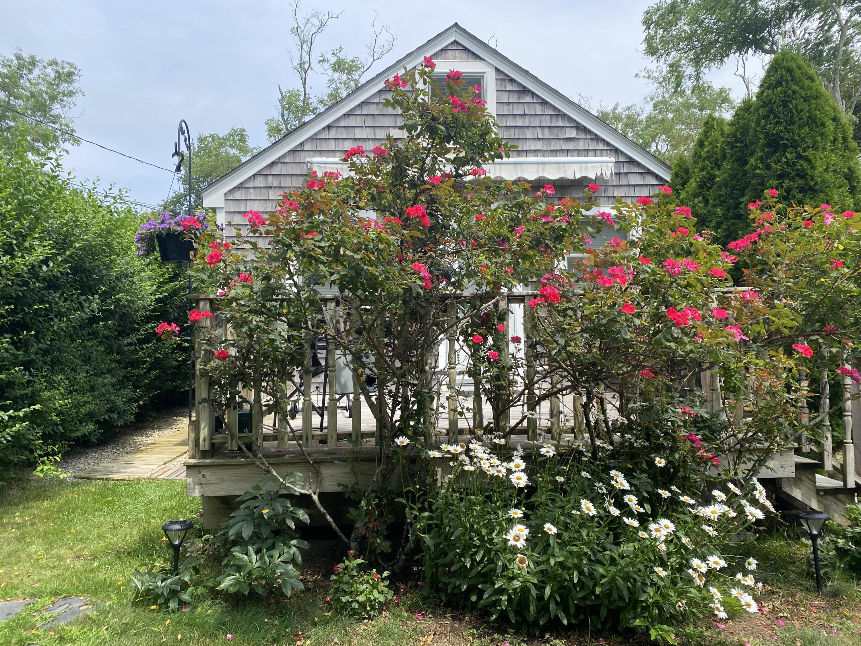 17 Shore Road, Unit 9 Truro, MA 02666 - Photo 3 of 20 17 shore 5