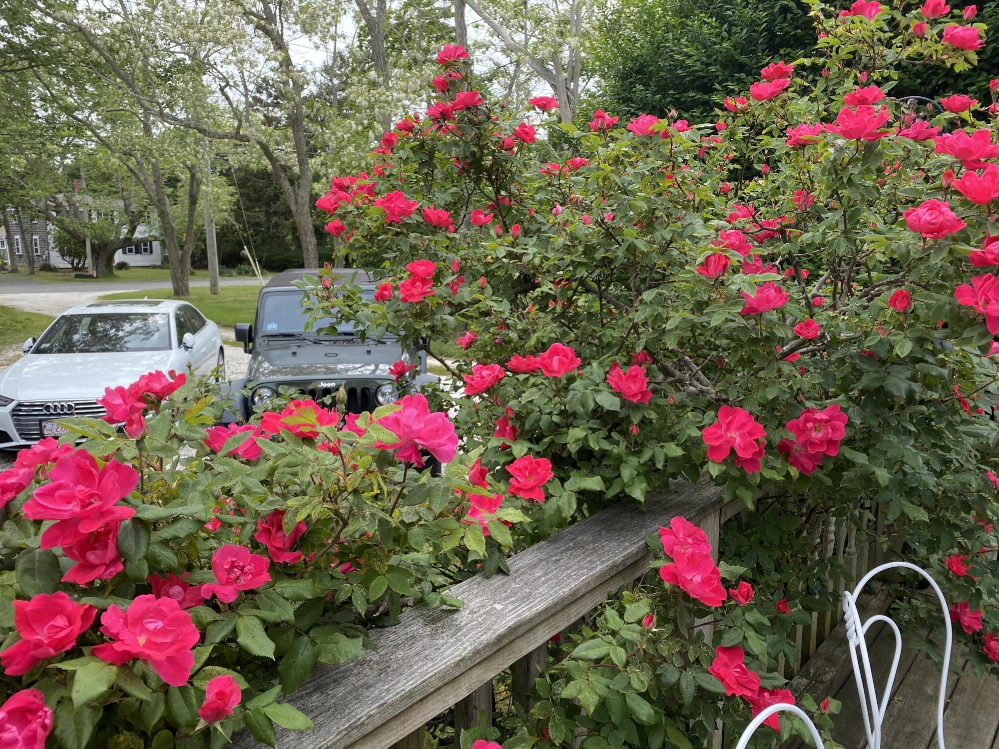 17 Shore Road, Unit 9 Truro, MA 02666 - Photo 5 of 20 17 Shore 1