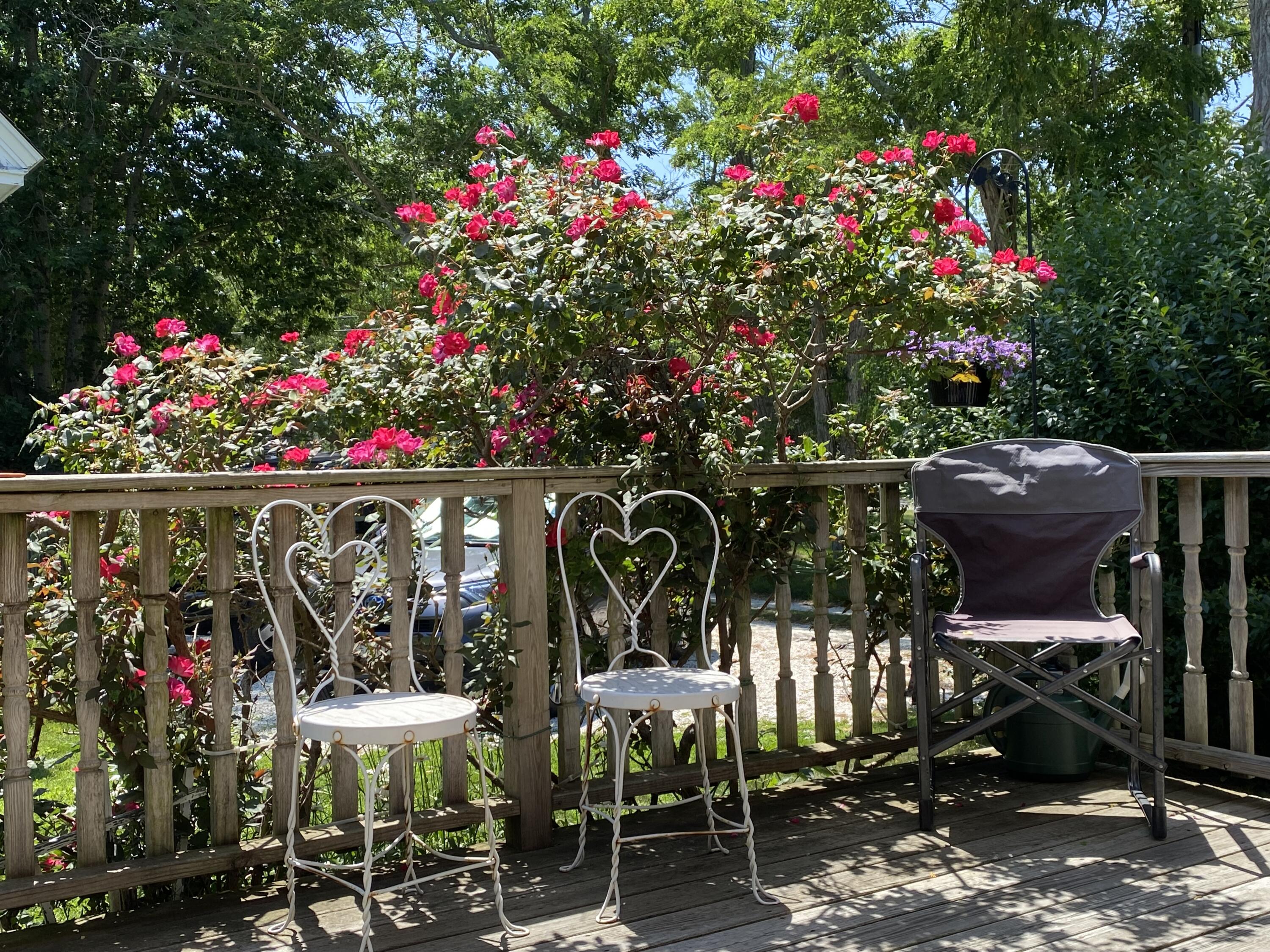 17 Shore Road, Unit 9 Truro, MA 02666 - Photo 7 of 20 17 Shore 2