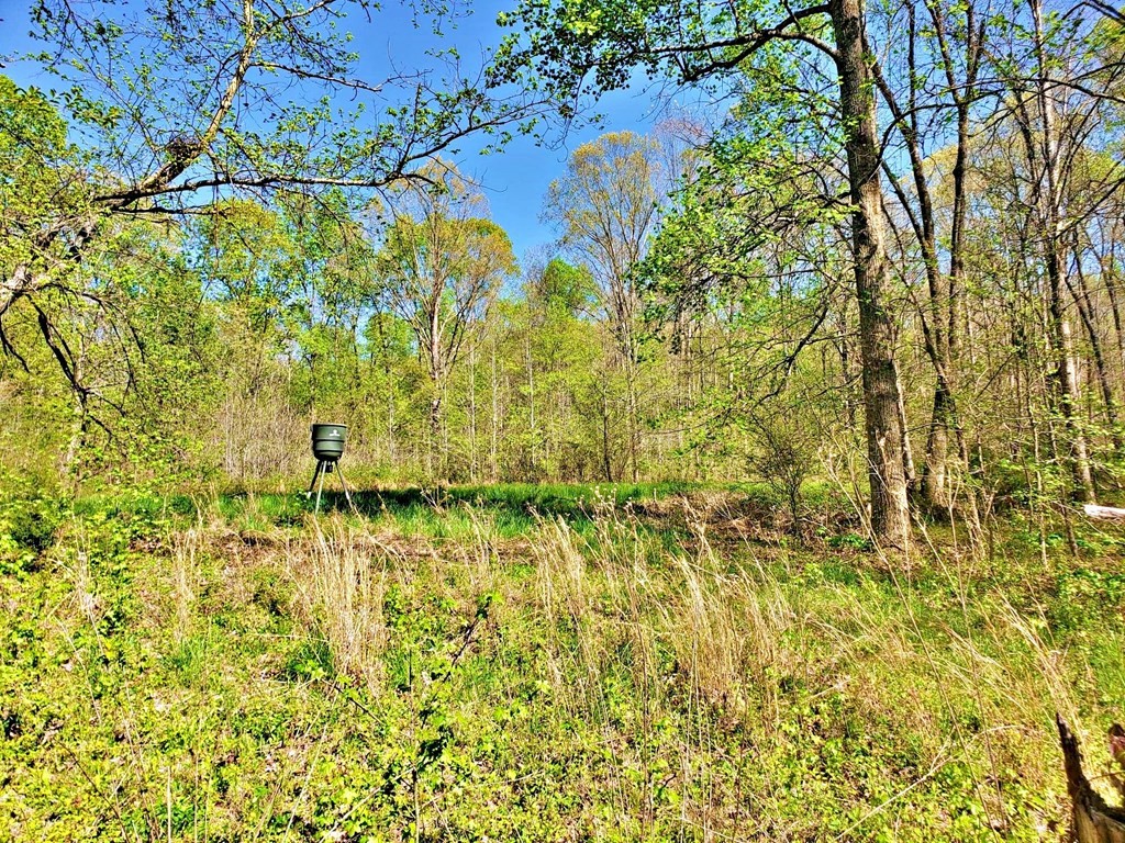 4507 River Road Ten Mile, TN 37880 - Photo 15 of 51 Gallery Image 15