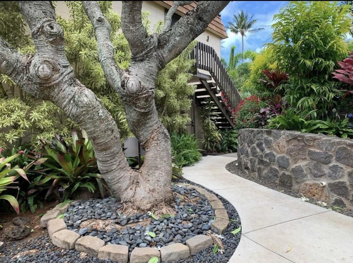 120 Hui F Road, Unit J1 Lahaina, HI 96761 - Photo 22 of 36 a view of a garden with plants