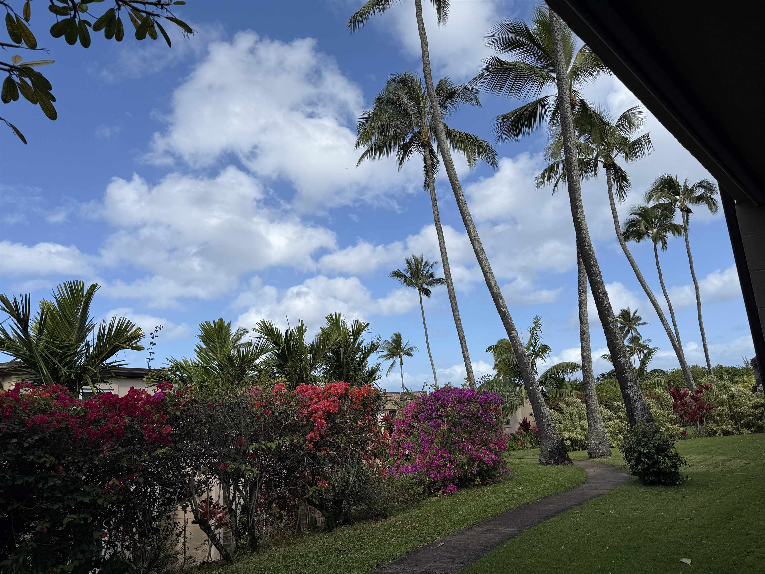 120 Hui F Road, Unit J1 Lahaina, HI 96761 - Photo 24 of 36
