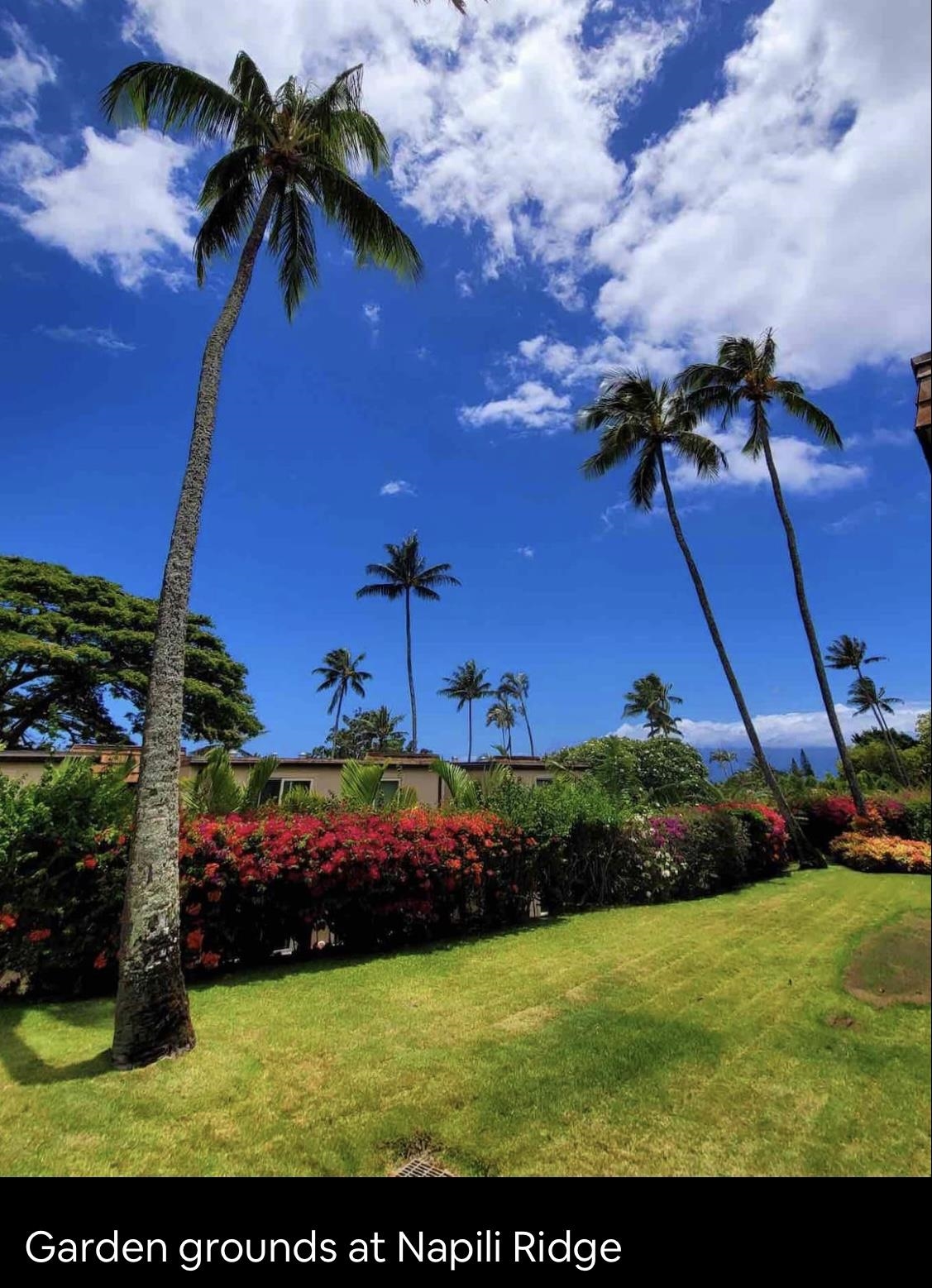 120 Hui F Road, Unit J1 Lahaina, HI 96761 - Photo 25 of 36 a view of a yard