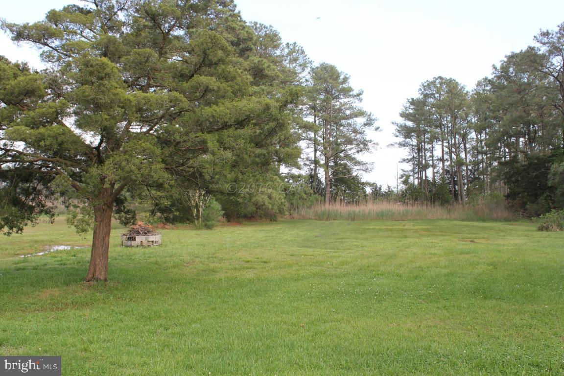 12954 River's Edge Drive Princess Anne, MD 21853 - Photo 23 of 27 Gallery Image 23