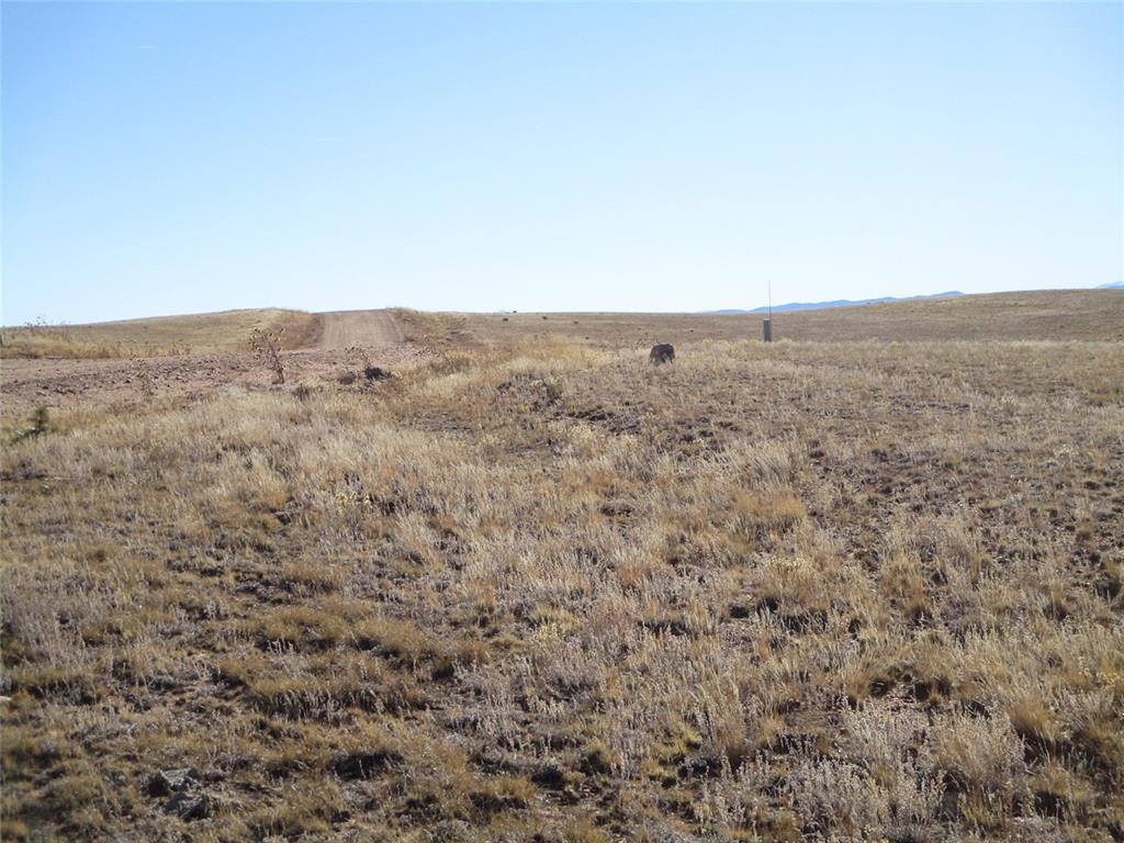 314 Homestead Road Como, CO 80432 - Photo 11 of 29 Gallery Image 11