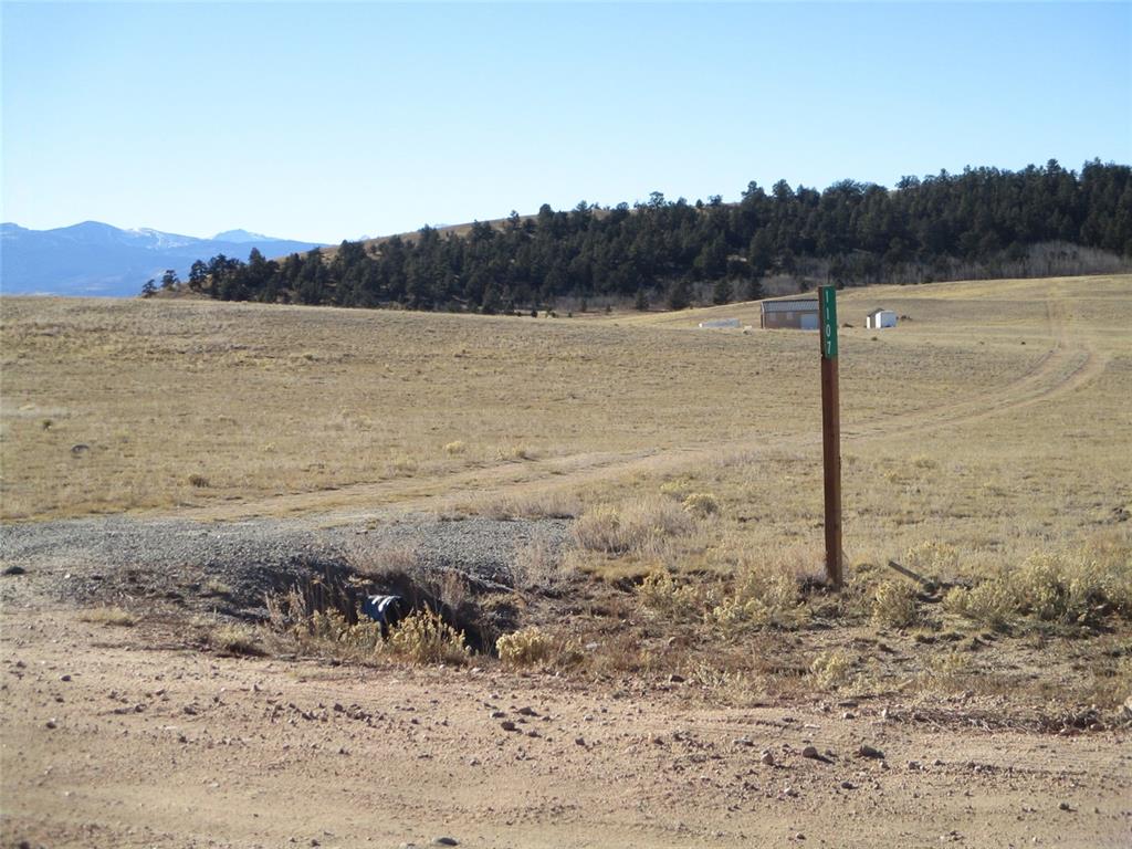 314 Homestead Road Como, CO 80432 - Photo 3 of 29 Gallery Image 3