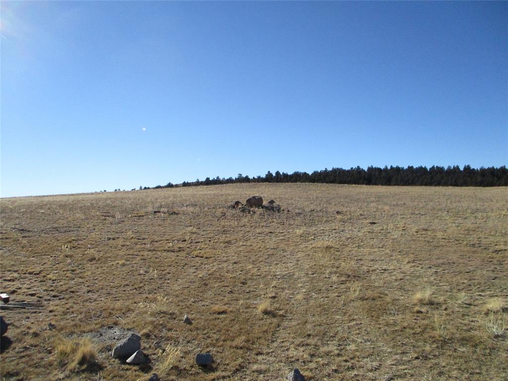 314 Homestead Road Como, CO 80432 - Photo 23 of 29 Gallery Image 23