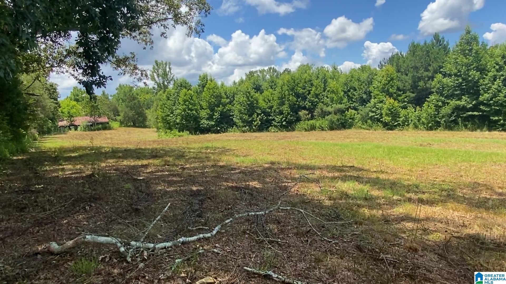 Buck Road, Unit 43 Cleveland, AL 35049 - Photo 8 of 17