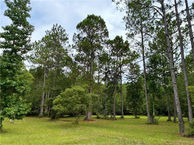 13050 Boyd Road Covington, LA 70435 - Photo 6 of 9
