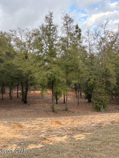 2816 Territory Road Chipley, FL 32428 - Photo 6 of 13