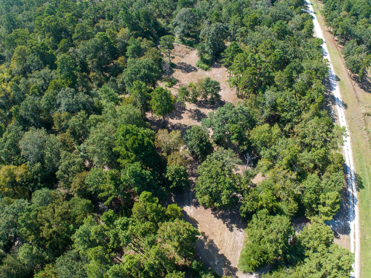 134 Cedar Ridge Huntsville, TX 77320 - Photo 21 of 24 Gallery Image 21