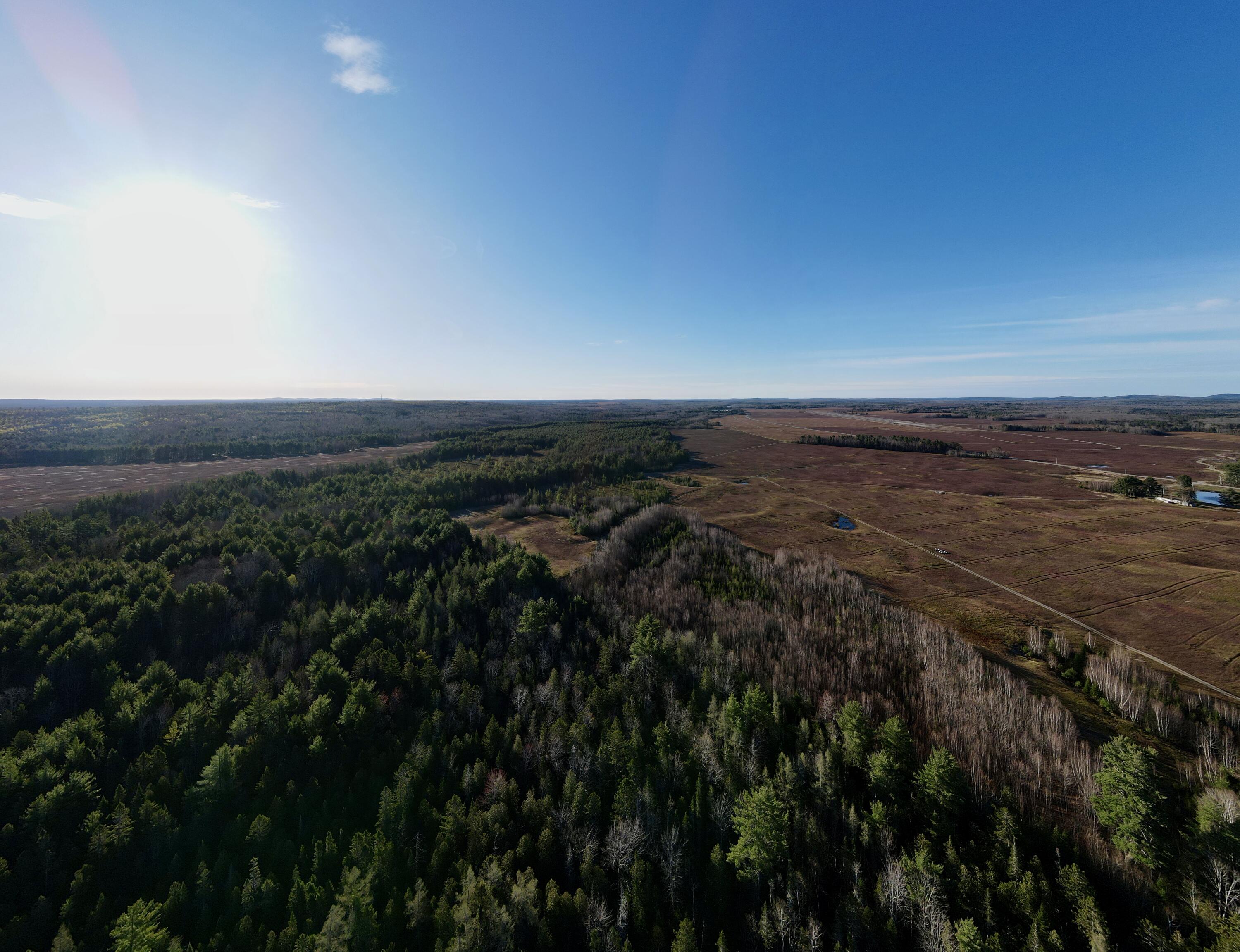 5 River Bend Road, Unit 5 Deblois, ME 04622 - Photo 11 of 25 Blueberry fields in distance