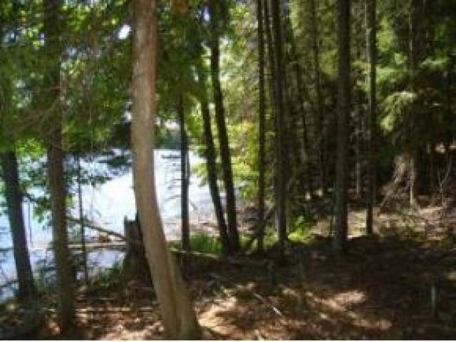 On Big Lake Road Watersmeet, MI 49969 - Photo 2 of 10 Gallery Image 2