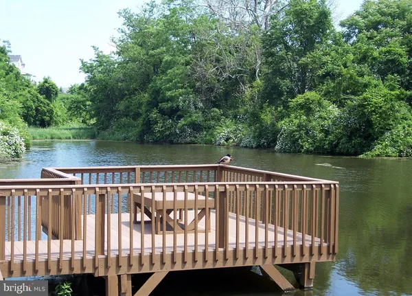 a view of a lake with houses in the background