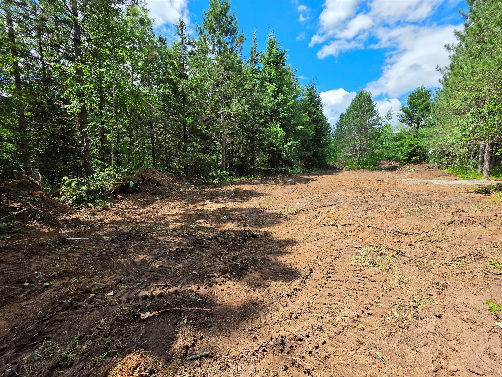 20-acres Adams Road Bruce, WI 54819 - Photo 3 of 14