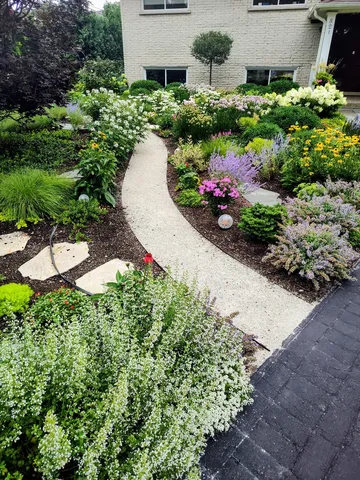 a bunch of flowers and trees in a yard