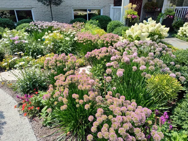 a living room with furniture hard wood floor and a bookshelf