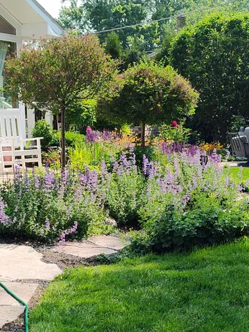 a view of a bench in a garden