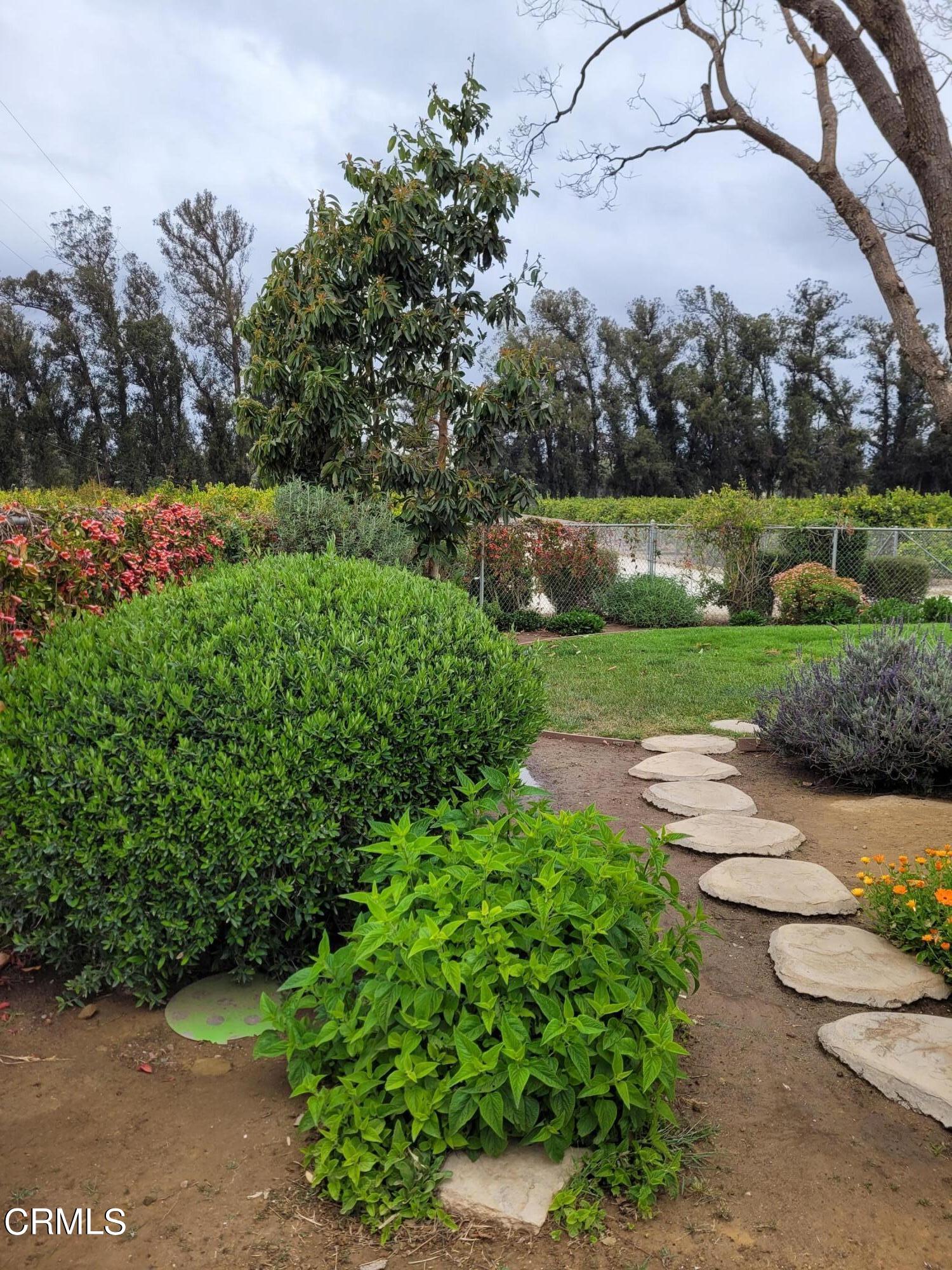 8614 Stockton Road Moorpark, CA 93021 - Photo 7 of 13 a view of a garden with a tree in the background