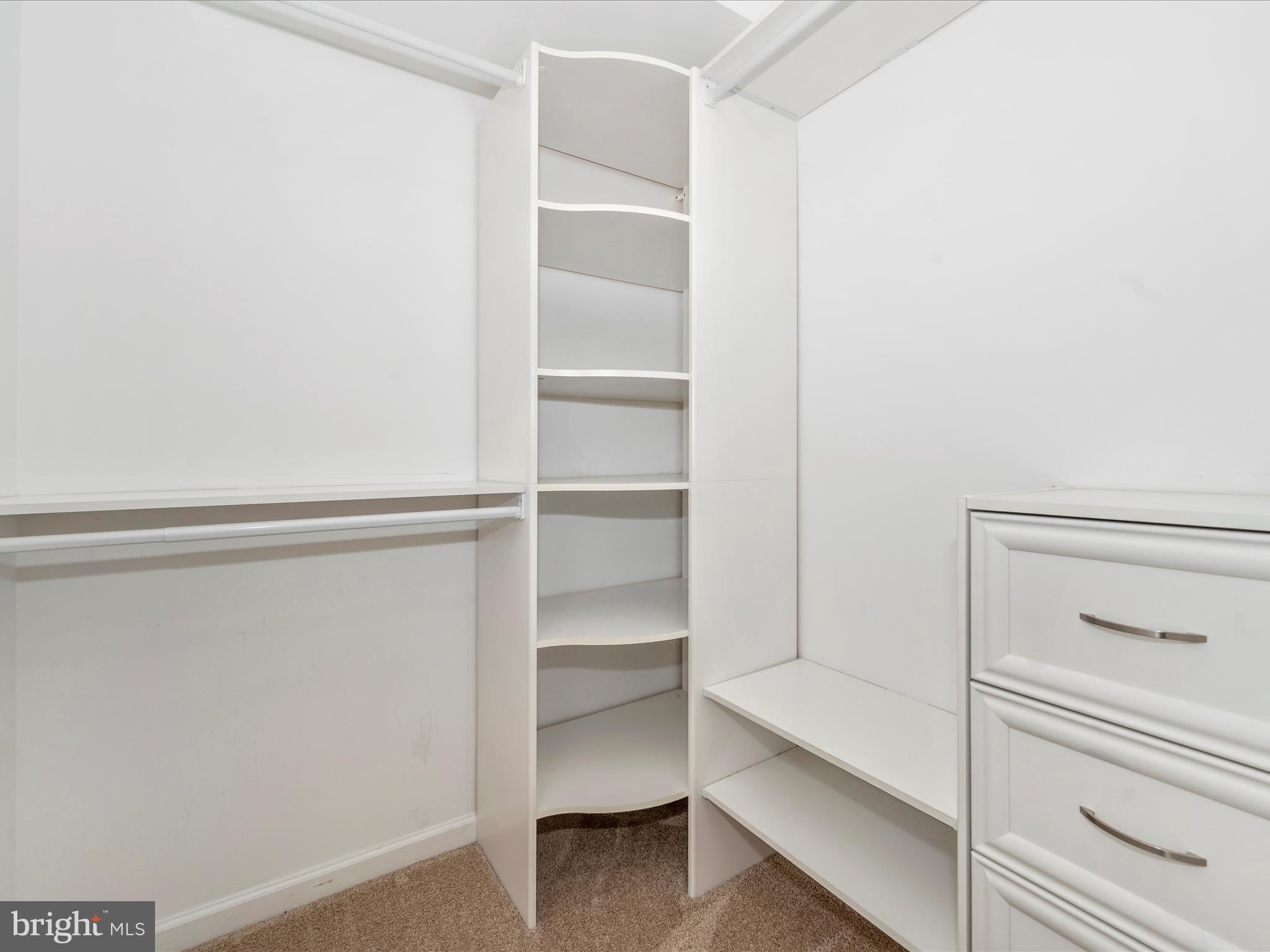 25910 Ridge Manor Drive, Unit 1000G Damascus, MD 20872 - Photo 25 of 41 Walk in Closet