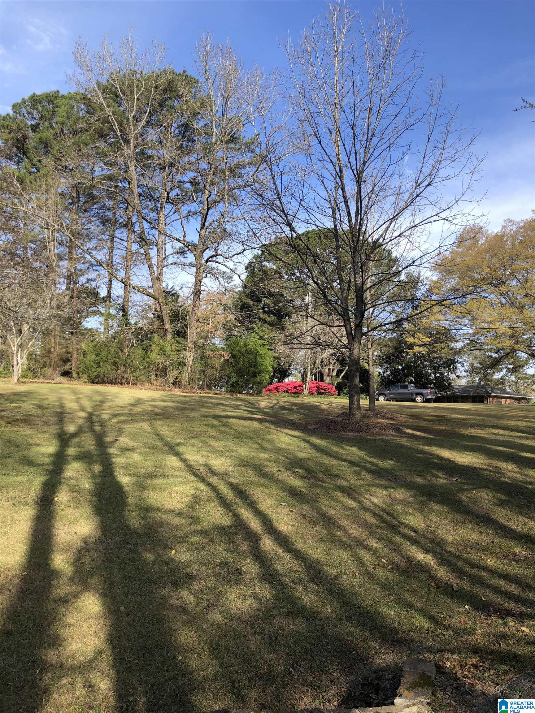 981 Morris Majestic Road Morris, AL 35116 - Photo 5 of 36