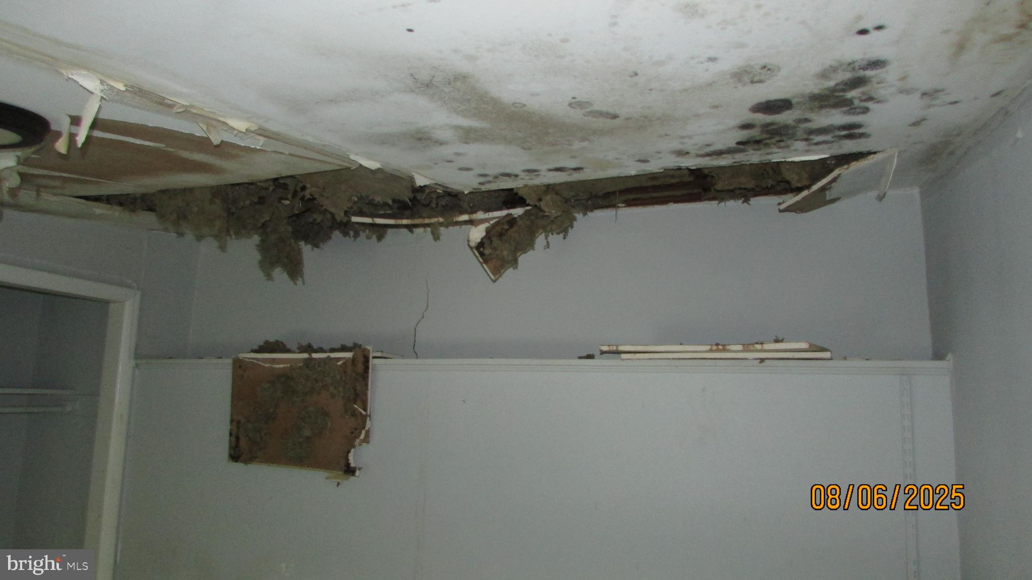 4724 Branchville Road College Park, MD 20740 - Photo 33 of 41