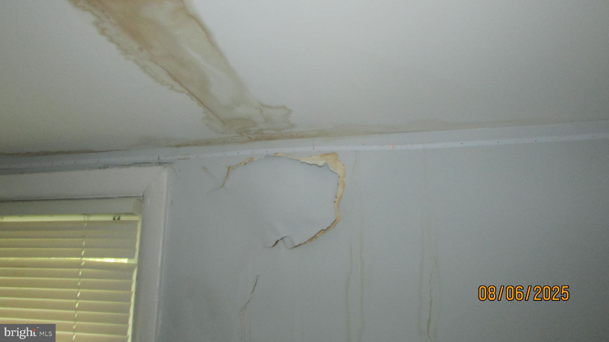 4724 Branchville Road College Park, MD 20740 - Photo 34 of 41 a close up of a shower