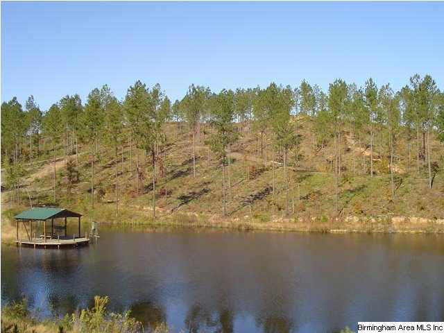 0 River Ranch Road, Unit 111 AC Ragland, AL 35131 - Photo 1 of 3