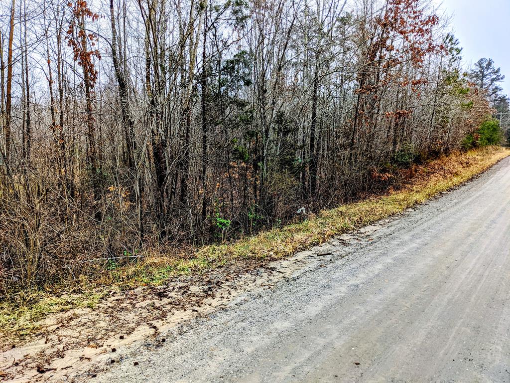 Wayside Road Baskerville, VA 23915 - Photo 1 of 1 Main View
