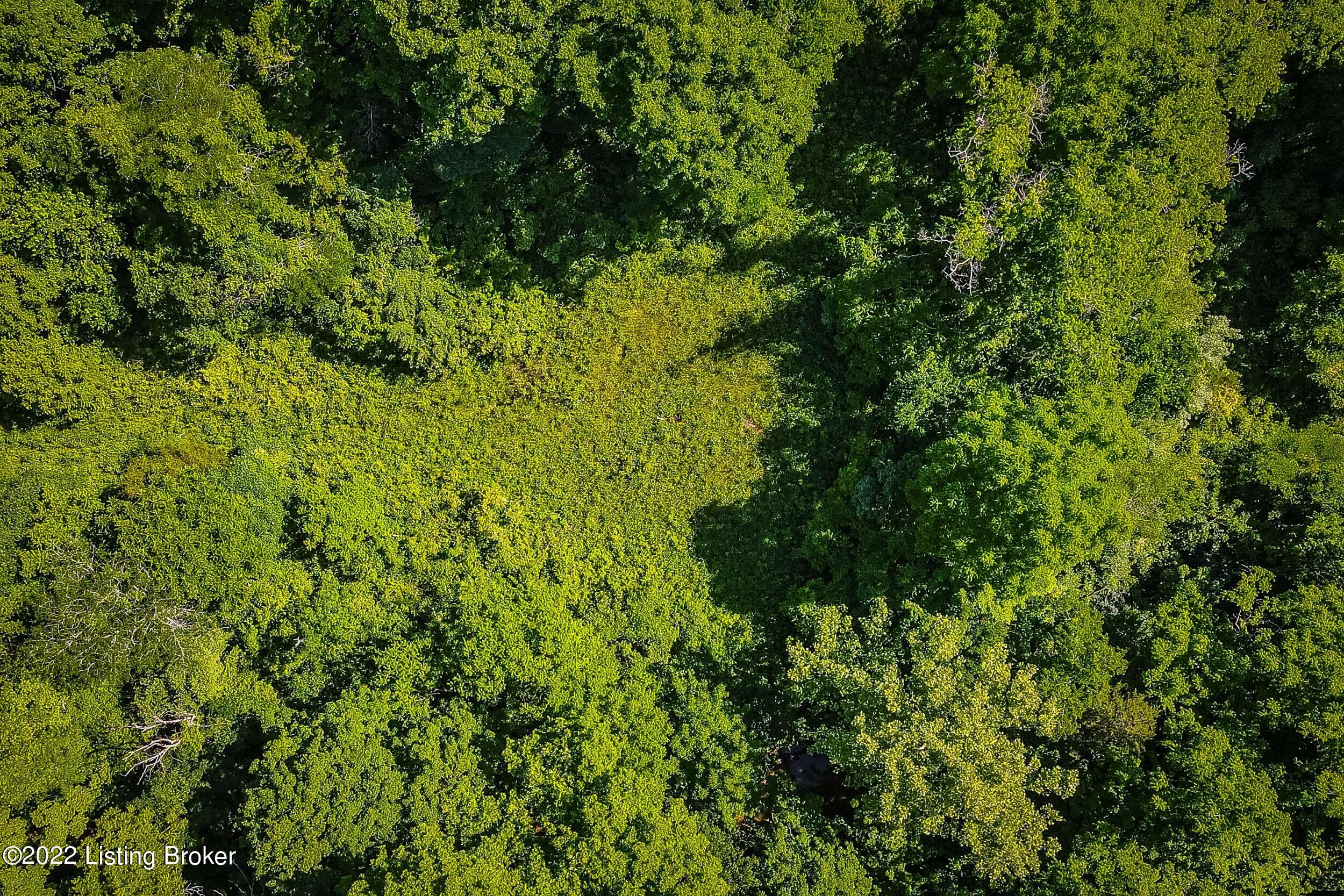 Lot 8 Rebel Ridge Road La Grange, KY 40031 - Photo 7 of 11 La Grange-09