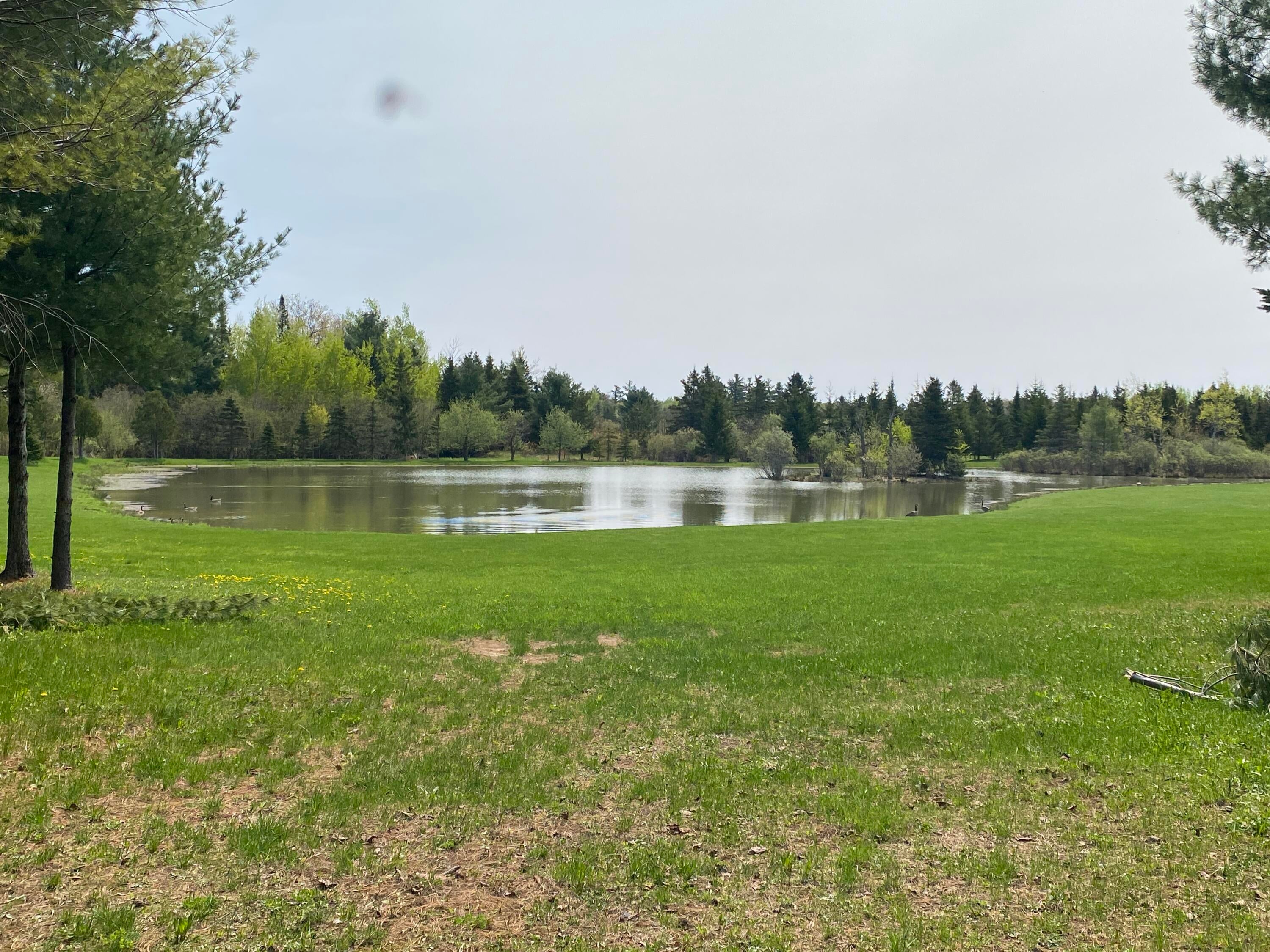 752 East 13 Mile Road Dafter, MI 49724 - Photo 17 of 27 Gallery Image 17